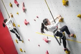 林泓育捕手核心价值